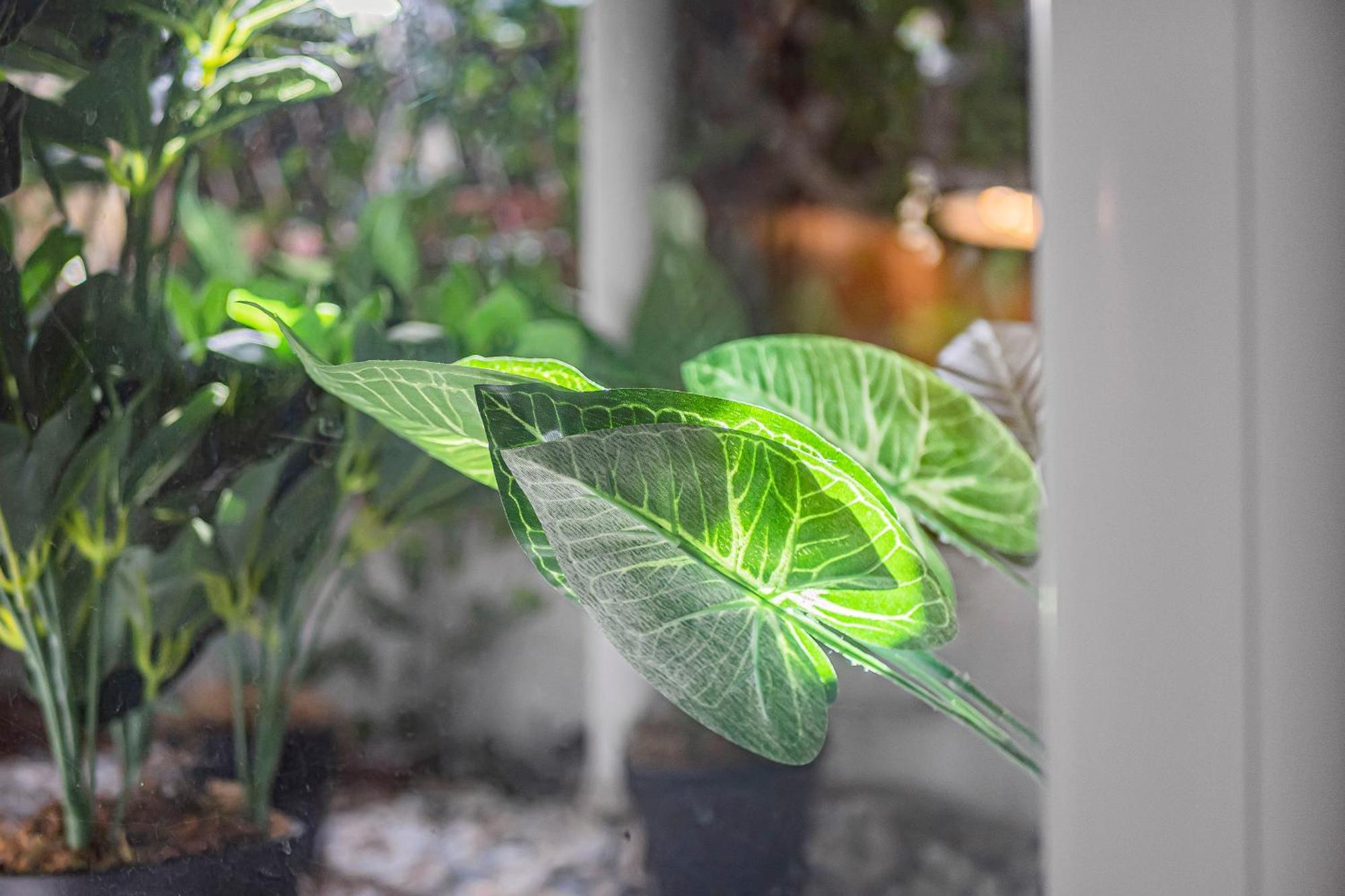 Pass The Keys Private Garden Apartment By Tulse Hill Station Londra Esterno foto